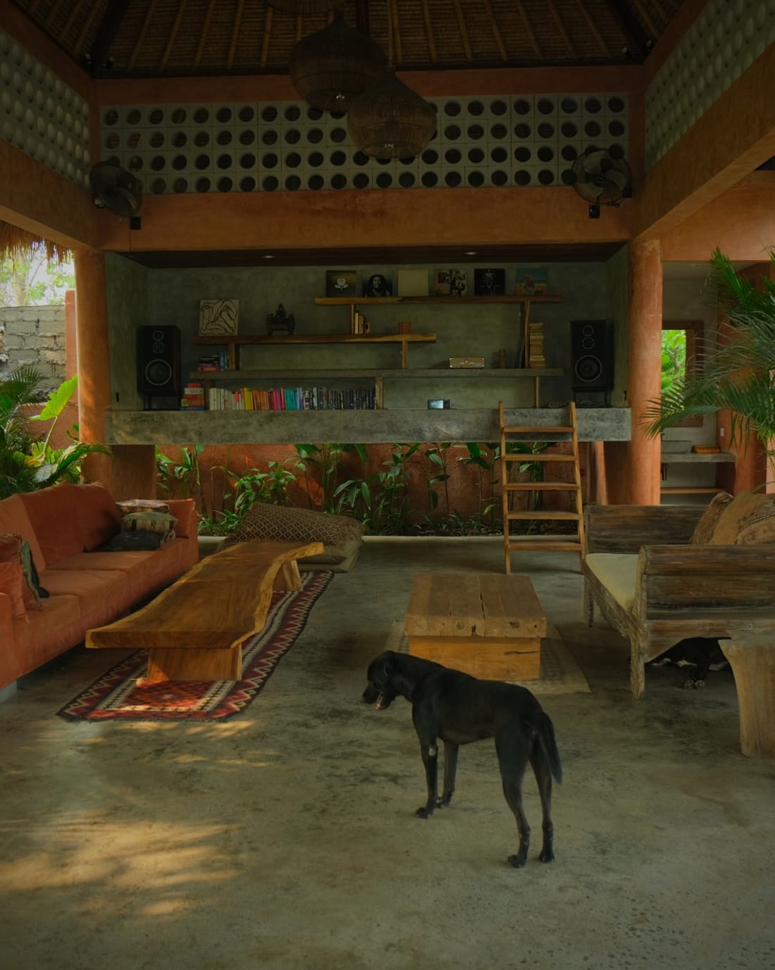 The open lounge at Lulu's: terracotta columns, shelves of books and records, low wooden seating and one of the dogs on the floor.